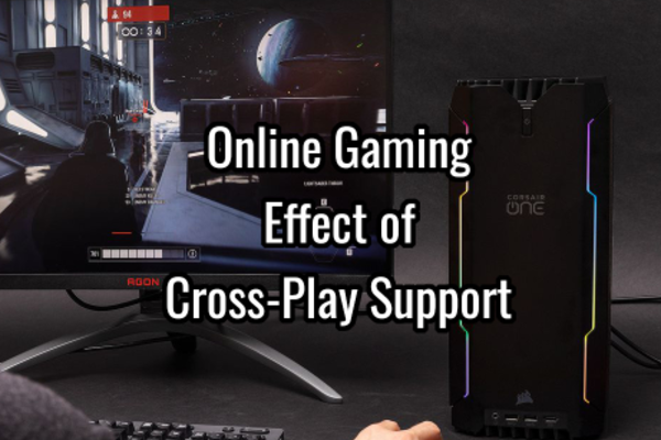 Online Gaming - The Effect of Cross-Play Support