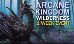 Arcane Kingdom 2.0 wilderness event