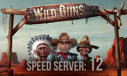 Wild Guns released a new speed server