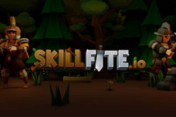 Skillfite.io