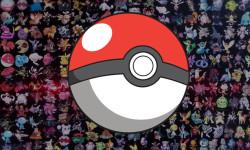 Closer look at PokemonPets