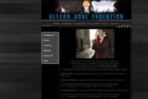 Bleach: Soul Evolution